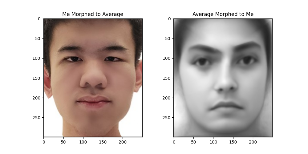 Morphed to Average&Me.png